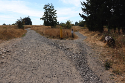 Deep rut and loose gravel at trailhead of Forest Edge Trail